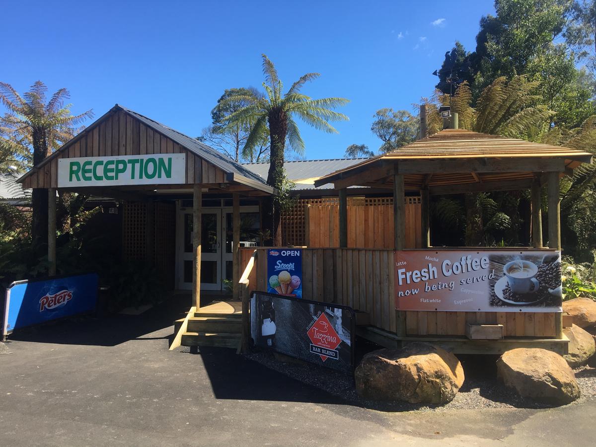 Black River TAS Tourism Brisbane