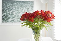Book Kingston Beach Accommodation Vacations Tourism Brisbane Tourism Brisbane