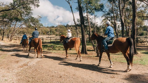 Country Club Tasmania - Tourism Brisbane 7