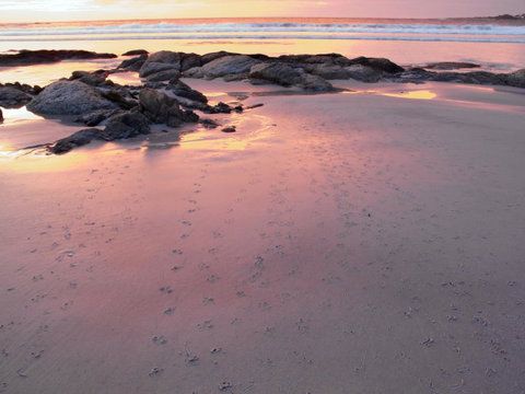 Beachend Bicheno - Brisbane Tourism 2