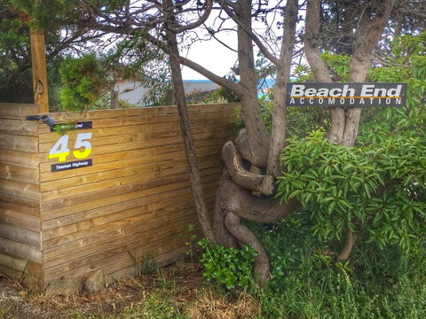 Beachend Bicheno - Brisbane Tourism 1