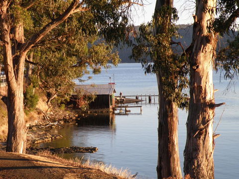 Driftwood - Tourism Brisbane 13