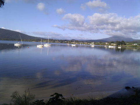 Driftwood - Tourism Brisbane 0