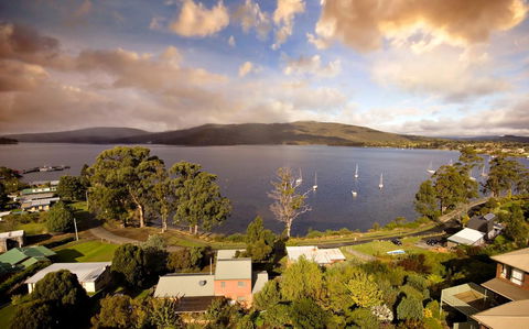 Driftwood - Tourism Brisbane 7