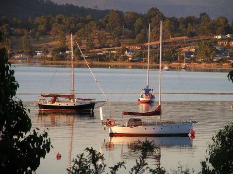 Driftwood - Tourism Brisbane 12