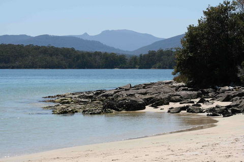 Driftwood - Tourism Brisbane 14