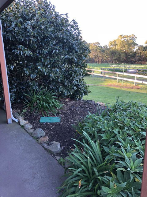 Acton Park Holiday Units - Brisbane Tourism 20