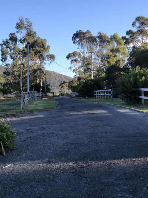 Acton Park Holiday Units - Brisbane Tourism 21
