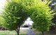Robin\'s Nest B&B - thumb 10