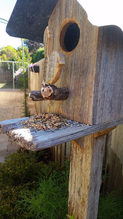 Driftwood-Cottage - Brisbane Tourism 29