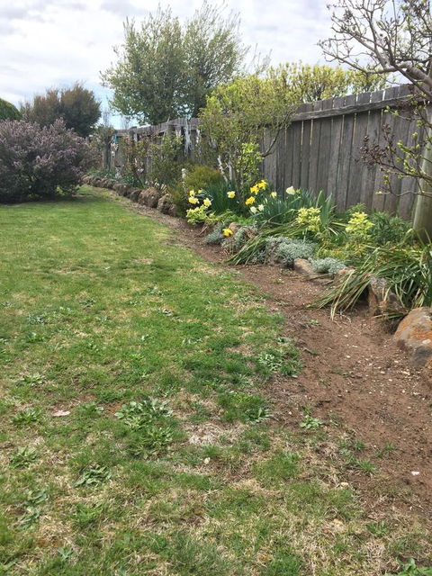 Our Cottage - Brisbane Tourism 3