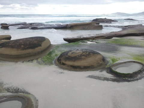 Suntrap Cove Bicheno - Brisbane Tourism 6