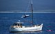 Suntrap Cove Bicheno - thumb 27