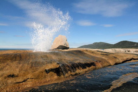 Suntrap Cove Bicheno - Brisbane Tourism 30
