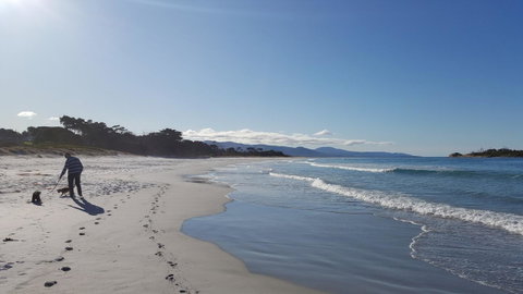 Suntrap Cove Bicheno - Brisbane Tourism 5