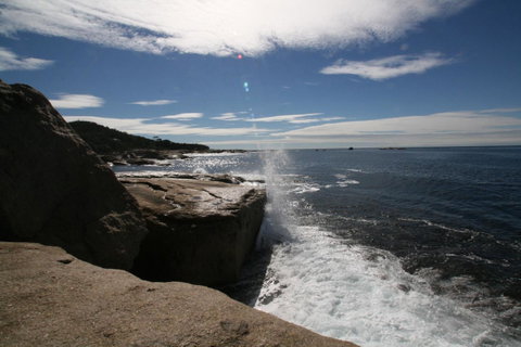 Suntrap Cove Bicheno - Brisbane Tourism 40