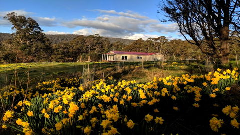 Mountain Blue Guest House - Tourism Brisbane 3