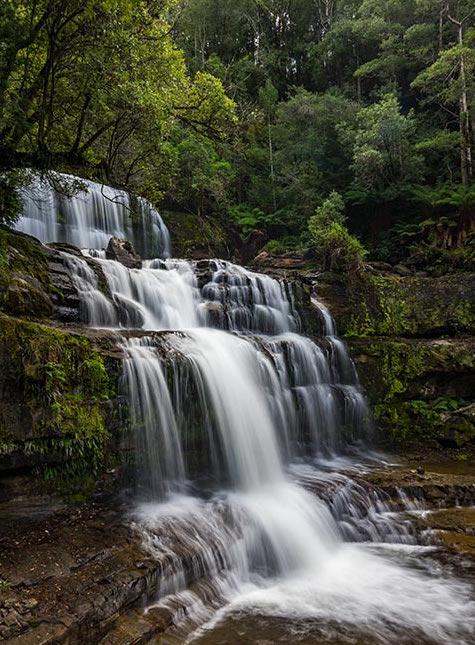 Mountain Blue Guest House - Tourism Brisbane 22