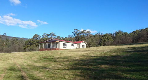 Mountain Blue Guest House - Tourism Brisbane 26