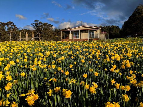 Mountain Blue Guest House - Tourism Brisbane 0
