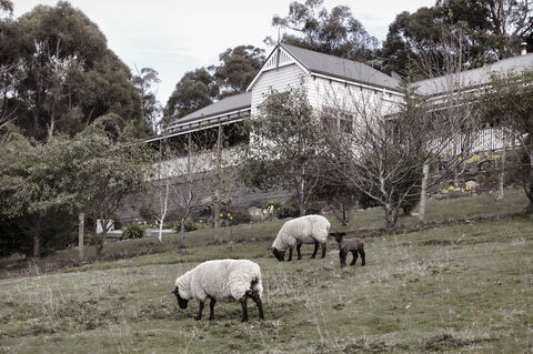 House On The Hill Bed And Breakfast - Tourism Brisbane 19