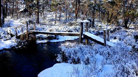 Cradle Mountain Love Shack - Brisbane Tourism 10