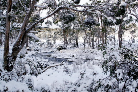 Cradle Mountain Love Shack - Brisbane Tourism 11