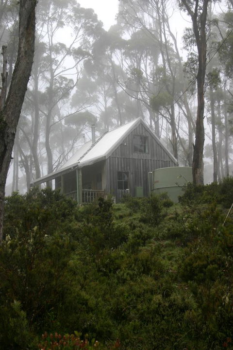 Cradle Mountain Love Shack - Brisbane Tourism 6
