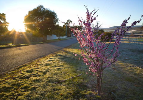 The Storekeeper\'s - Tourism Brisbane 14