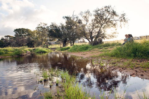 Northbrook Farmstay - Tourism Brisbane 0