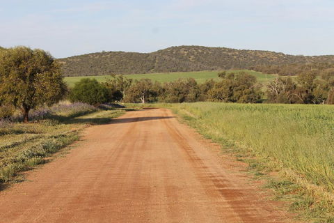 Northbrook Farmstay - Tourism Brisbane 2