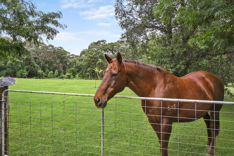 NUNGAROO COTTAGE - Tourism Brisbane 3