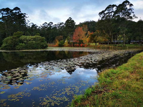 OCT Forest Lodge - Brisbane 4u 2