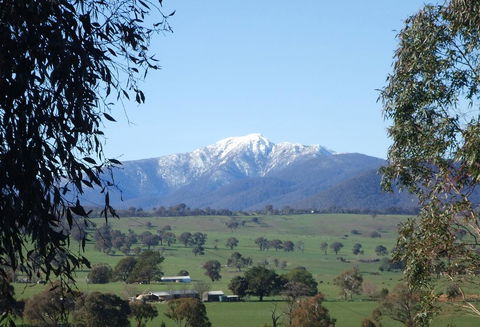 Off Mountain Accommodation - Brisbane Tourism 0