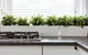 Paddington Apartment, Escape In Luxury - thumb 3