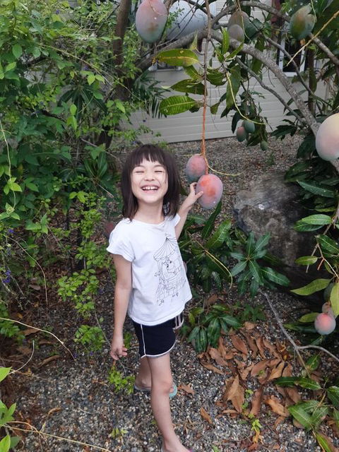 Paradise Travellers Rest - Brisbane Tourism 2