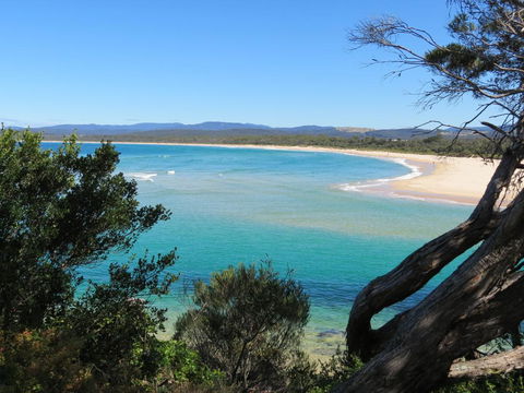 Penguin Mews - Brisbane Tourism 2