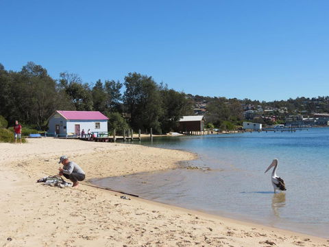 Penguin Mews - Brisbane Tourism 1