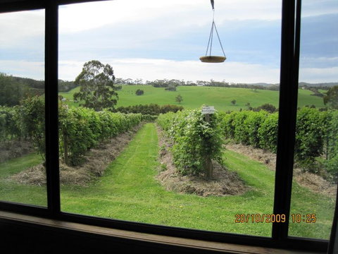Pennyroyal Raspberry Farm & Cidery - Brisbane Tourism 0