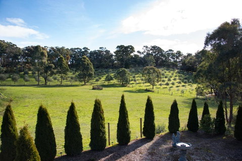 Phoenix - Brisbane Tourism 3