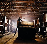 Pieter van Gent Winery  Vineyard - Tourism Brisbane