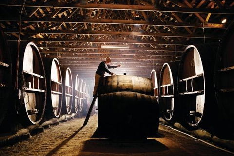 Pieter Van Gent Winery & Vineyard - Tourism Brisbane 0