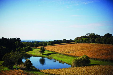 Port Phillip Estate - Tourism Brisbane 2