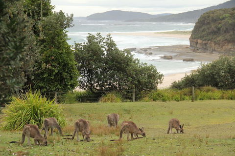 Pretty Beach Cabins - Tourism Brisbane 3