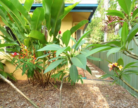 Rainforest Cottage Cairns - Tourism Brisbane 0