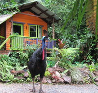 Rainforest Hideaway - Tourism Brisbane