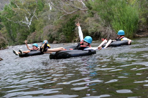 Razorback 13/1 Gippsland Street - Tourism Brisbane 1
