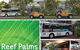 Reef Palms - thumb 1