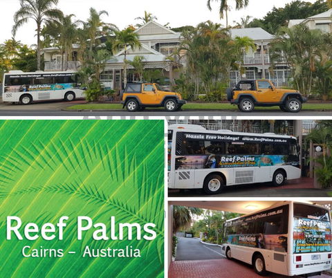 Reef Palms - Tourism Brisbane 1