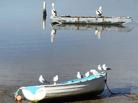 Reflections On Merimbula Lake - Brisbane Tourism 2